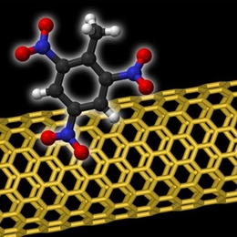 The MIT researchers' sensor uses carbon nanotubes (in yellow) covered in protein fragments to detect even a single molecule of an explosive, such as the TNT molecule shown here.