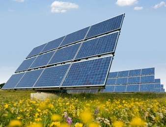 Solar panels in a field with yellow flowers