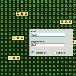 Find and replace window overlays sequence of letters as "TAG" is highlighted throughout.