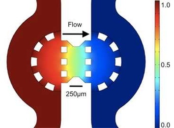 Color map showing the distribution of pressure across the gel region (between the two rows of semi-circular posts) containing the cancer cells. 