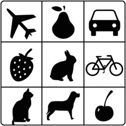 New research from MIT neuroscientists suggests how the brain learns which category an object belongs to — for example, fruits or animals. 