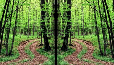 New research suggests that some parts of the brain perceive a scene and its mirror image as one and the same, meaning those regions are involved in scene categorization rather than navigation. 