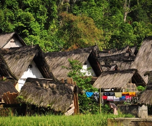 A village in rural Indonesia. A new study by MIT researchers suggests local residents make accurate judgments of their neighbors’ poverty levels.