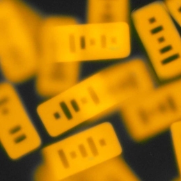 MIT chemical engineers have designed particles that can detect microRNA inside living cells.