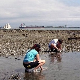 MIT Sea Grant Ocean Science Interns, Susanna Elledge and Dave Mathews, sampling at Spectacle Island.