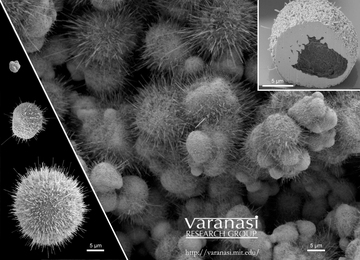 Images taken with a Field Emission Scanning Electron Microscope show the nanowire bristles that form on copper particles of different sizes. At top right, a cross-section of one of the particles reveals its hollow interior.
