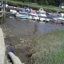 Stormwater outfall into Kingston harbor.