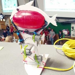 Pregnant Guppy, the ROV that Sara Falcone and her team built