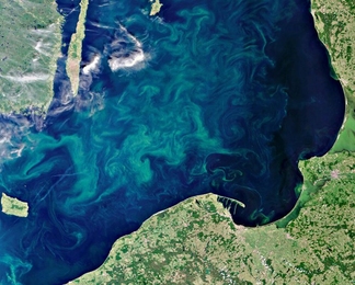 Body of water seen from space