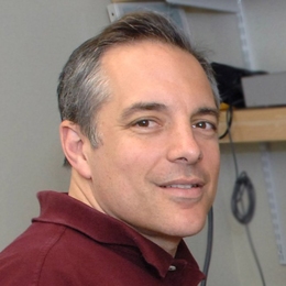 Elazer R. Edelman, the Thomas D. and Virginia W. Cabot Chair of Health Sciences and Technology at MIT