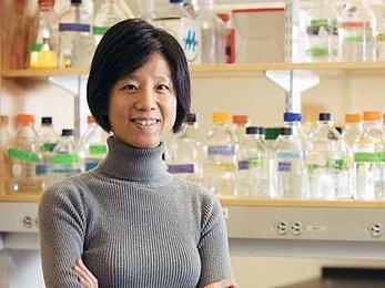 Yingxi Lin, a member of the McGovern Institute for Brain Research and the the Frederick and Carole Middleton Career Development Assistant Professor of Brain and Cognitive Sciences.