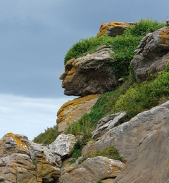 Patterns in the world, like this rock formation in Ebihens, France, can sometimes fortuitously look like human faces. In a new study, Meng et al. have used this phenomenon of pareidolia to investigate how the neural processing of faces differs in the left and right halves of the brain.