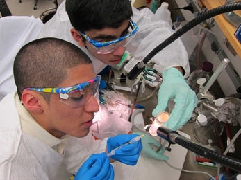 Team members Jonathan Calderon and Jaaron Botello extracting purified phage particles after ultracentrifugation through a cesium chloride gradient.