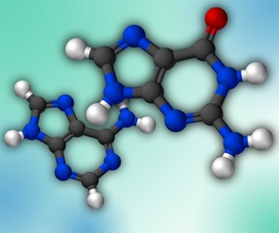 The molecular structure of guanine (foreground) and adenine are shown.