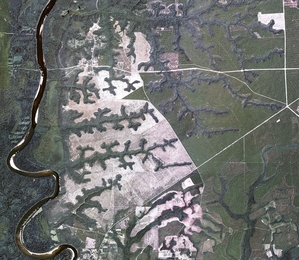 Aerial image of valley networks eroded by groundwater sapping into a sand plateau east of the Apalachicola River, near Bristol, Fla. Image is approximately 11 km wide. 