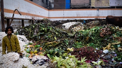 A girl dumps spoiled produce and inedible food clippings in a waste storage area at Azadpur market outside of Delhi. Millions of tons of food go to waste in India each year due to spoilage and other problems.