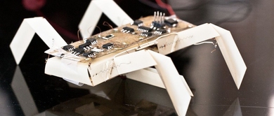 An insect-like robot printed and designed using the new process being developed to revolutionize the way robots are developed. The robot could be used for exploring areas inaccessible to humans.
