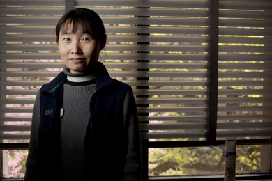 Portrait photo of Jing Kong in an office with window blinds closed behind her