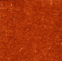 An atomic-force microscope image of a layer of single-walled carbon nanotubes deposited on a silicon surface, as the first step in manufacturing the new type of solar cell developed by an MIT team. Individual nanotubes can be seen in the image.