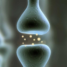 A graphic depicting a synapse, a connection between brain cells.