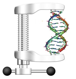 DNA strand in metal compression device