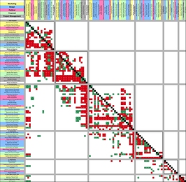 A DSM model showing the real estate development process.