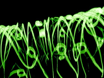 Green circular glowing lines on a black background