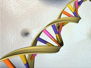 An illustration showing the double helix structure of DNA.