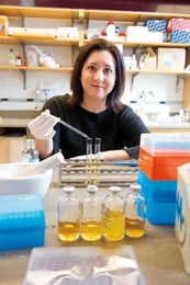 Michelle O’Malley (above) and Chris Kaiser, both of biology, are figuring out exactly how fungi from the digestive tract of a horse break down tough fibers in grasses—understanding that could lead to better methods of making biofuels from cellulosic biomass.