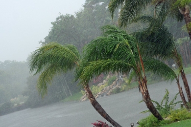 An image taken during Tropical Storm Fay in 2008.