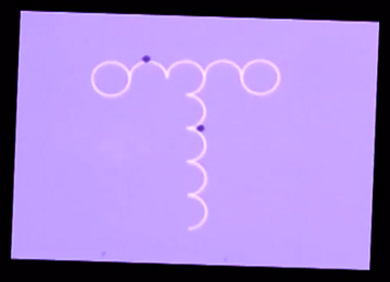 Abstract graphic of pink circles and half circles on a purple background