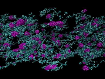 This diagram of the molecular structure of one of the artificially produced versions of spider silk depicts one that turned out to form strong, well-linked fibers. A different structure, made using a variation of the same methods, was not able to form into the long fibers needed to make it useful. Musical compositions based on the two structures helped to show how they differed.