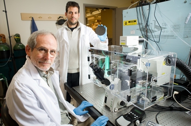 Professor Roger Kamm, left, and PhD candidate Ioannis Zervantonakis