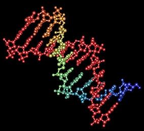 A new technique developed at MIT can edit DNA in precise locations.