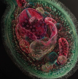 organelles inside a cell