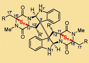 MIT chemists designed many variants of epipolythiodiketopiperazine (ETP) alkaloids and tested them for anticancer activity. A representative ETP structure is shown.