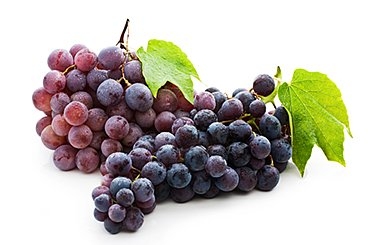 New research has shown for the first time that resveratrol, a compound found in grapes and red wine that can counteract the effects of aging, acts by directly activating sirtuins.