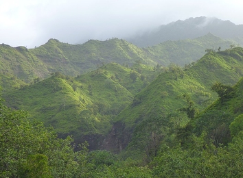 This image was taken in the Hanalei River basin on the north side of the Hawaiian island of Kauai.