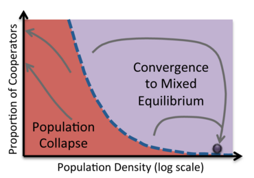 Yeast study chart shows spiraling effect of mixed strains of cooperators and cheaters moving either toward extinction or equilibrium.