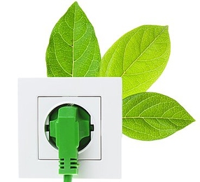 Photo illustration of an electrical wire plugged into several green leaves