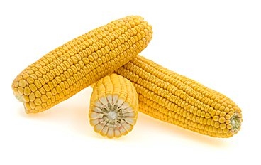 Three corn cobs