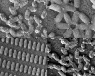 Researchers at MIT and the University of North Carolina created these coated nanoparticles in many shapes and sizes.