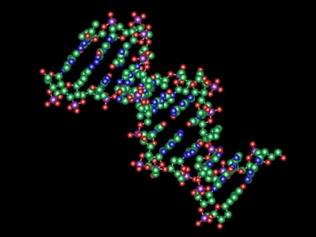 DNA structure