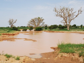 This large pool of water near Banizoumbou, Niger, formed during the monsoon season and became a breeding site for mosquitoes.  
