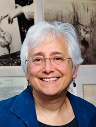 Harriet Ritvo, Arthur J. Conner Professor of History at MIT