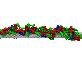 MIT chemical engineers created this sensor that can recognize riboflavin by coating a carbon nanotube with amphiphilic polymers.