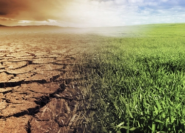 Split ground shows half of a cracked floor and grass