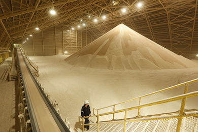 High pure white potash awaits packaging and sale for use in soluble fertilizer and in industrial markets. Potash can be used as a replacement for potassium fertilizers for bananas and other agricultural products.