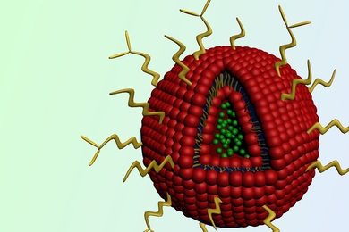 The nanoparticle contains the cancer drug doxorubicin (green spheres) in its core. Erlotinib is embedded in the red outer shell. Attached to the surface are chains of polyethylene glycol (PEG), in yellow.