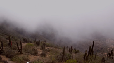 Screenshot from the video, "Harvesting Fresh Water from Fog"